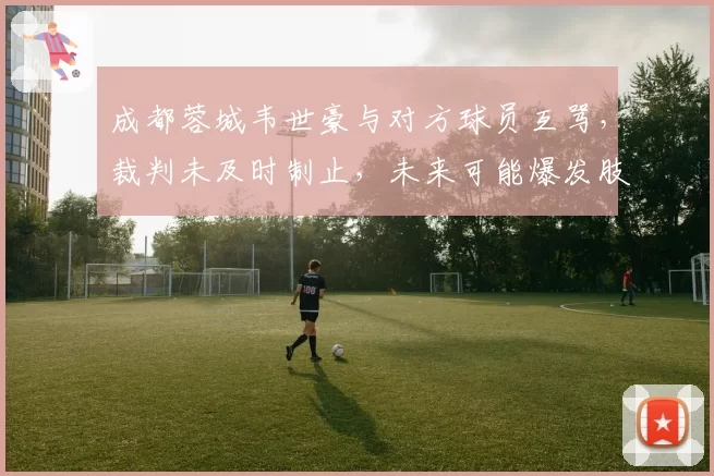 成都蓉城韦世豪与对方球员互骂,裁判未及时制止,未来可能爆发肢体冲突