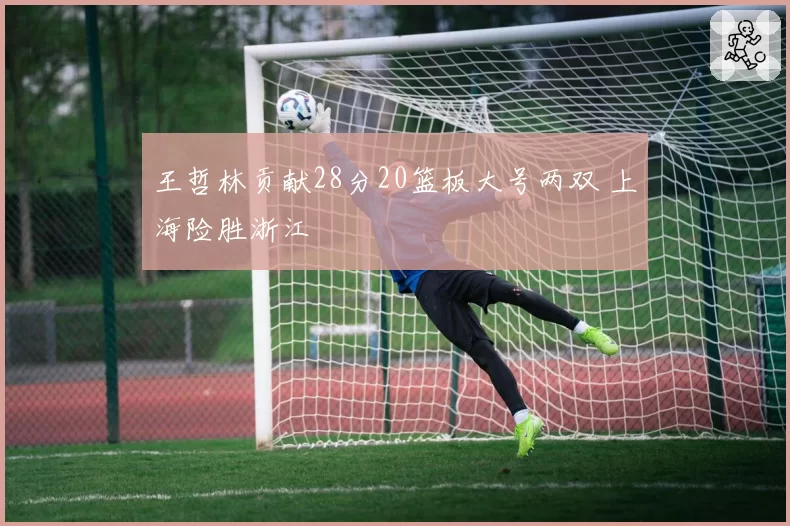 王哲林贡献28分20篮板大号两双 上海险胜浙江