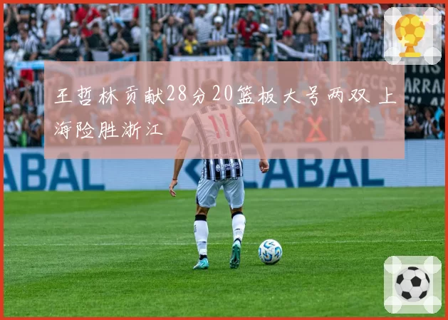 王哲林贡献28分20篮板大号两双 上海险胜浙江