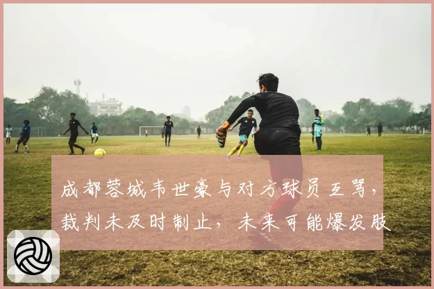 成都蓉城韦世豪与对方球员互骂,裁判未及时制止,未来可能爆发肢体冲突